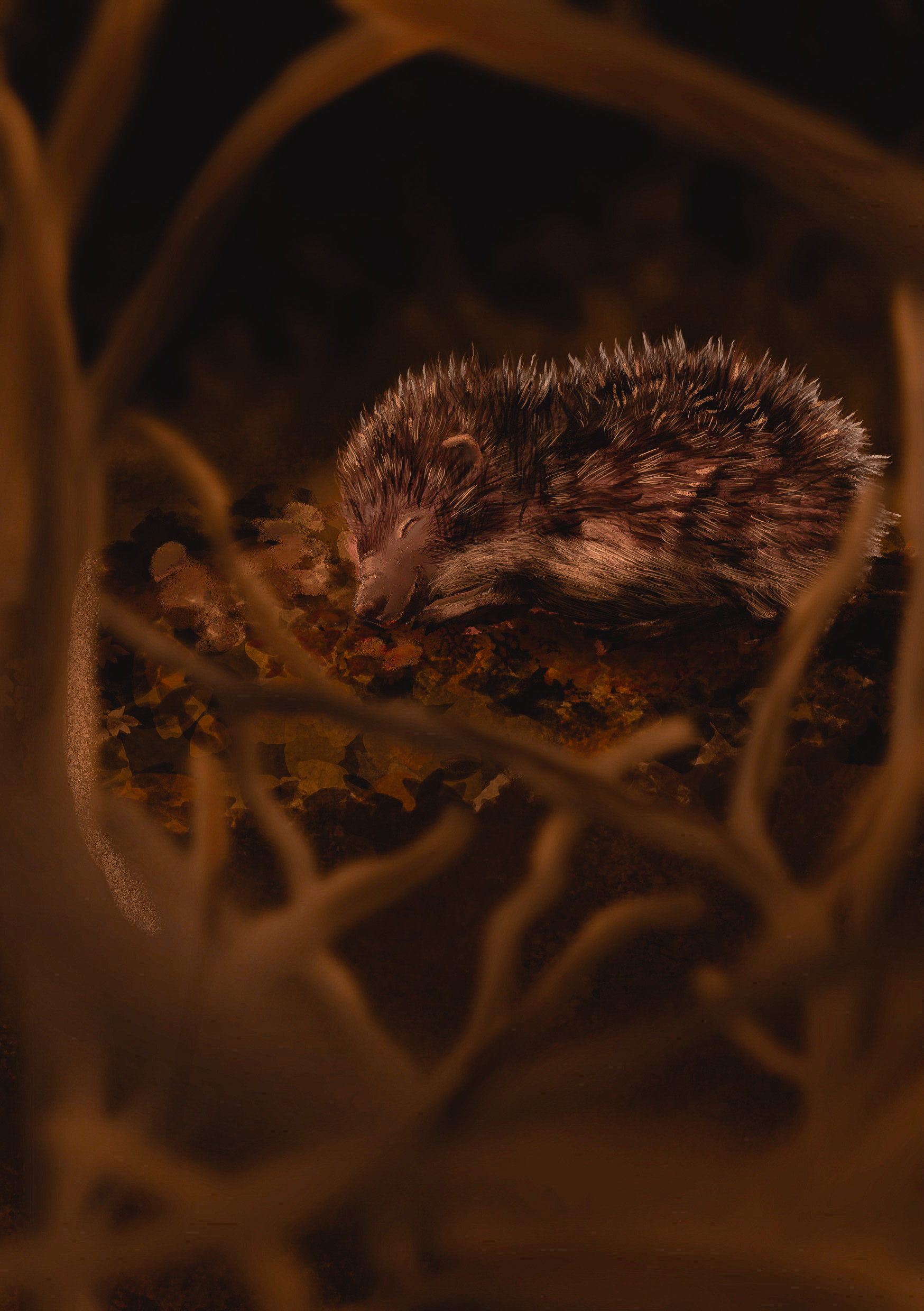 Illustration schlafender Igel